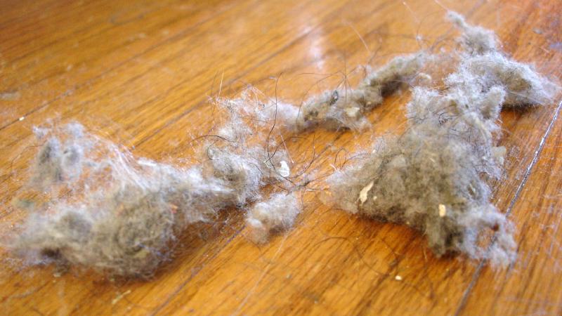 Featured image of post Digital Dust