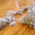 Digital Dust
